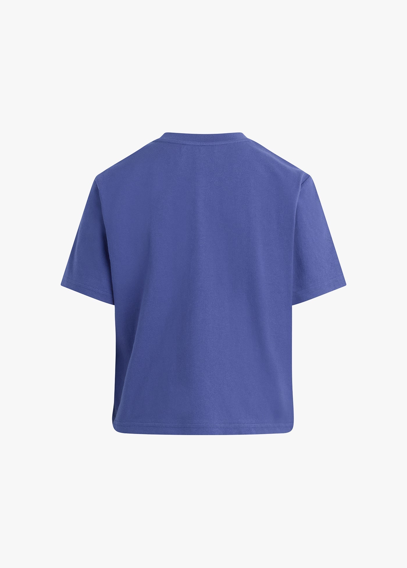 Favorite Daughter The Favorite T-Shirt in Venetian Blue
