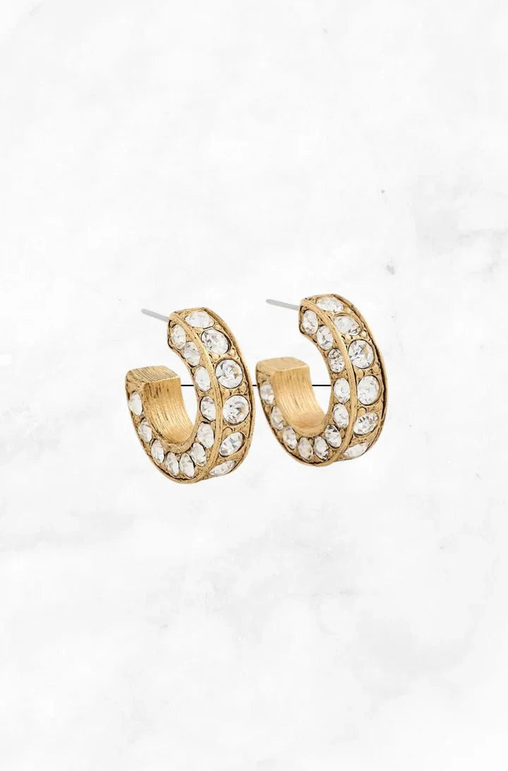 Elizabeth Cole Aira Earring in Crystal
