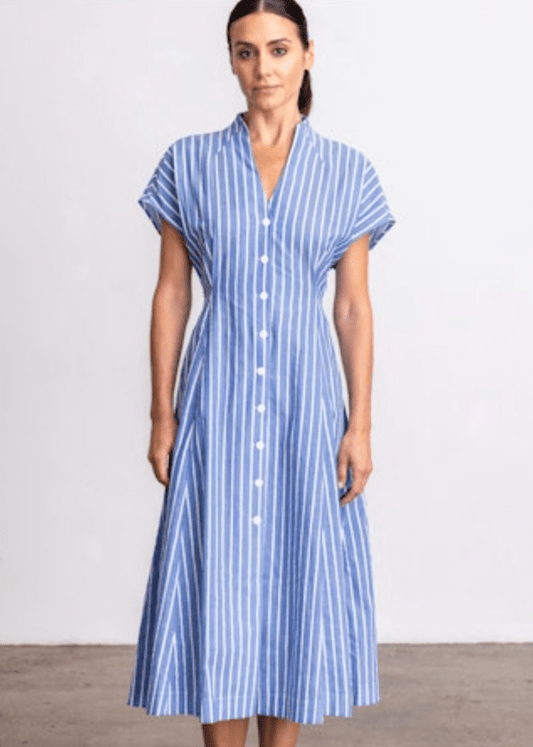 Go Silk Go For A Spin Dress in Borrow Boys Stripe